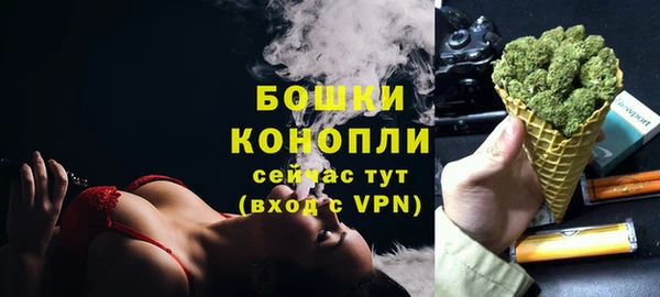 2c-b Осинники