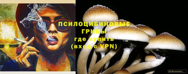 стафф Алексин
